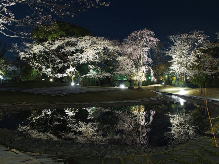 富士山本宮浅間大社 桜まつり リンクタウン富士宮